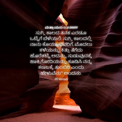 Picture 04 - ಮತ್ತಾಯನು 13:30 KANIRV - ಸುಗ್ಗಿ ಕಾಲದ ತನಕ - Bible Verse Picture