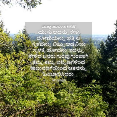 Picture 04 - ಮತ್ತಾಯನು 14:13 KANIRV - ಯೇಸು ಅದನ್ನು ಕೇಳಿ - Bible Verse Picture