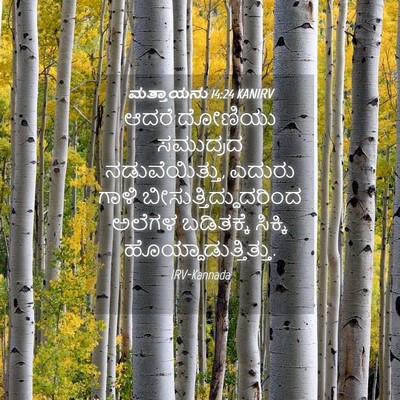 Picture 04 - ಮತ್ತಾಯನು 14:24 KANIRV - ಆದರೆ ದೋಣಿಯು - Bible Verse Picture
