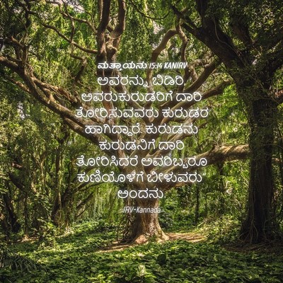Picture 04 - ಮತ್ತಾಯನು 15:14 KANIRV - ಅವರನ್ನು ಬಿಡಿರಿ, - Bible Verse Picture