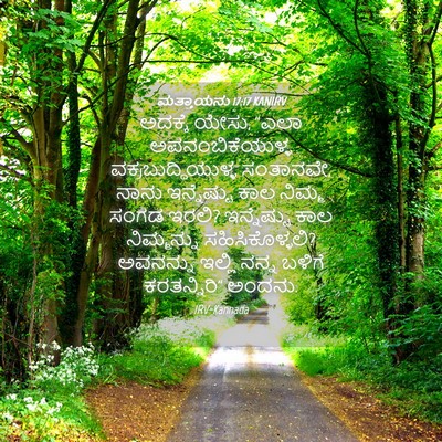 Picture 04 - ಮತ್ತಾಯನು 17:17 KANIRV - ಅದಕ್ಕೆ ಯೇಸು, “ಎಲಾ - Bible Verse Picture