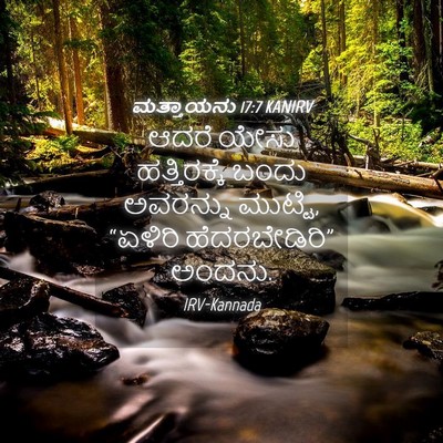 Picture 04 - ಮತ್ತಾಯನು 17:7 KANIRV - ಆದರೆ ಯೇಸು - Bible Verse Picture