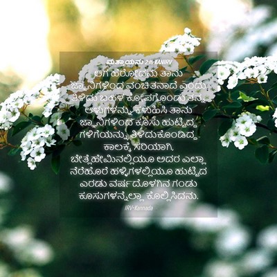 Picture 04 - ಮತ್ತಾಯನು 2:16 KANIRV - ಆಗ ಹೆರೋದನು ತಾನು - Bible Verse Picture
