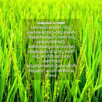 Picture 04 - ಮತ್ತಾಯನು 20:23 KANIRV - ಆಗ ಆತನು ಅವರಿಗೆ, - Bible Verse Picture