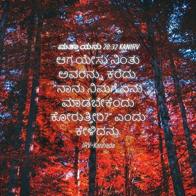 Picture 04 - ಮತ್ತಾಯನು 20:32 KANIRV - ಆಗ ಯೇಸು ನಿಂತು - Bible Verse Picture
