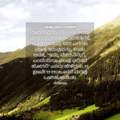 Picture 04 - ಮತ್ತಾಯನು 21:19 KANIRV - ದಾರಿಯಲ್ಲಿ ಒಂದು - Bible Verse Picture