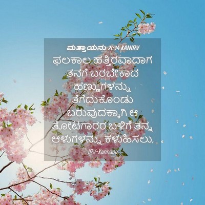 Picture 04 - ಮತ್ತಾಯನು 21:34 KANIRV - ಫಲಕಾಲ ಹತ್ತಿರವಾದಾಗ - Bible Verse Picture