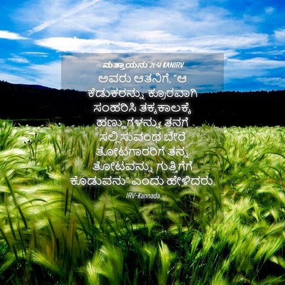 Picture 04 - ಮತ್ತಾಯನು 21:41 KANIRV - ಅವರು ಆತನಿಗೆ, “ಆ - Bible Verse Picture