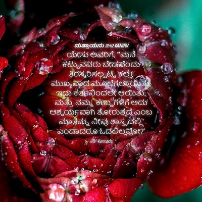 Picture 04 - ಮತ್ತಾಯನು 21:42 KANIRV - ಯೇಸು ಅವರಿಗೆ, “‘ಮನೆ - Bible Verse Picture