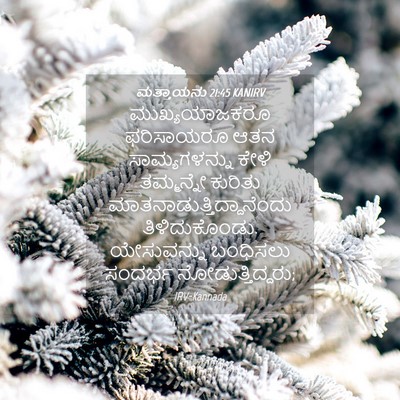 Picture 04 - ಮತ್ತಾಯನು 21:45 KANIRV - ಮುಖ್ಯಯಾಜಕರೂ - Bible Verse Picture