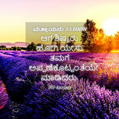Picture 04 - ಮತ್ತಾಯನು 21:6 KANIRV - ಆಗ ಶಿಷ್ಯರು ಹೋಗಿ - Bible Verse Picture