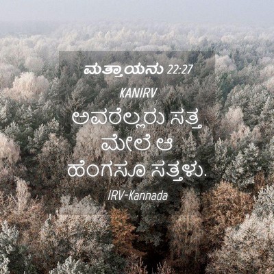 Picture 04 - ಮತ್ತಾಯನು 22:27 KANIRV - ಅವರೆಲ್ಲರು ಸತ್ತ - Bible Verse Picture