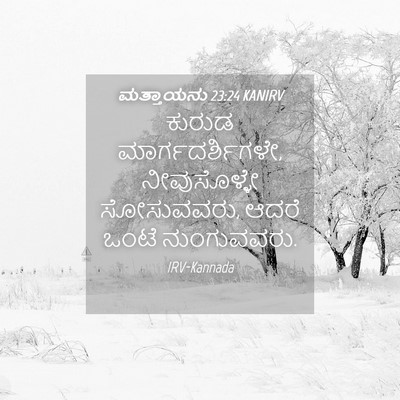 Picture 04 - ಮತ್ತಾಯನು 23:24 KANIRV - ಕುರುಡ - Bible Verse Picture