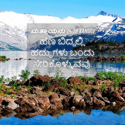 Picture 04 - ಮತ್ತಾಯನು 24:28 KANIRV - ಹೆಣ ಬಿದ್ದಲ್ಲಿ - Bible Verse Picture