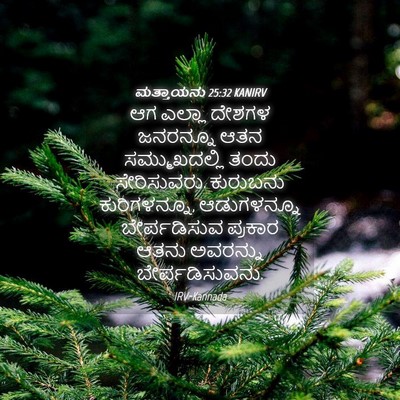 Picture 04 - ಮತ್ತಾಯನು 25:32 KANIRV - ಆಗ ಎಲ್ಲಾ ದೇಶಗಳ - Bible Verse Picture