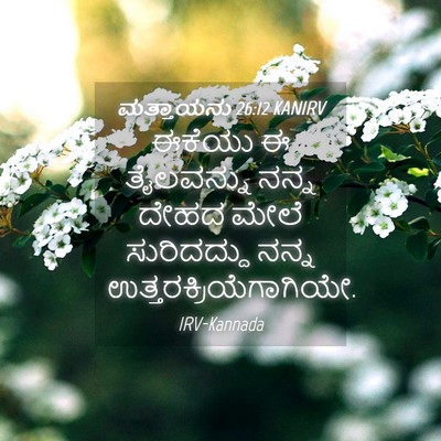 Picture 04 - ಮತ್ತಾಯನು 26:12 KANIRV - ಈಕೆಯು ಈ ತೈಲವನ್ನು - Bible Verse Picture