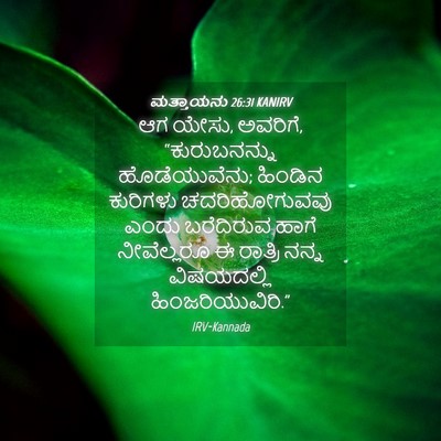 Picture 04 - ಮತ್ತಾಯನು 26:31 KANIRV - ಆಗ ಯೇಸು, ಅವರಿಗೆ, - Bible Verse Picture
