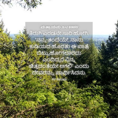 Picture 04 - ಮತ್ತಾಯನು 26:42 KANIRV - ತಿರುಗಿ ಎರಡನೇ ಸಾರಿ - Bible Verse Picture