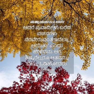 Picture 04 - ಮತ್ತಾಯನು 26:56 KANIRV - ಆದರೆ ಪ್ರವಾದಿಗಳು - Bible Verse Picture