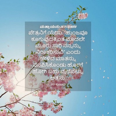 Picture 04 - ಮತ್ತಾಯನು 26:75 KANIRV - ಪೇತ್ರನಿಗೆ ಯೇಸು, - Bible Verse Picture