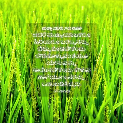 Picture 04 - ಮತ್ತಾಯನು 27:20 KANIRV - ಆದರೆ ಮುಖ್ಯಯಾಜಕರೂ - Bible Verse Picture