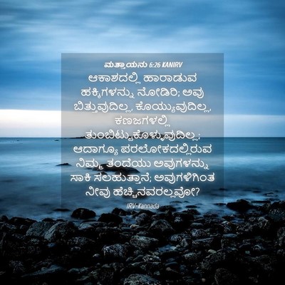 Picture 04 - ಮತ್ತಾಯನು 6:26 KANIRV - ಆಕಾಶದಲ್ಲಿ ಹಾರಾಡುವ - Bible Verse Picture