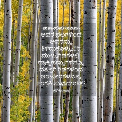 Picture 04 - ಮತ್ತಾಯನು 7:16 KANIRV - ಅವರ ಫಲಗಳಿಂದ - Bible Verse Picture