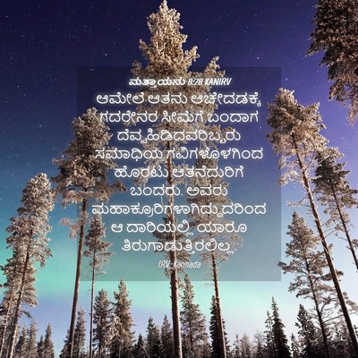 Picture 04 - ಮತ್ತಾಯನು 8:28 KANIRV - ಆಮೇಲೆ ಆತನು - Bible Verse Picture