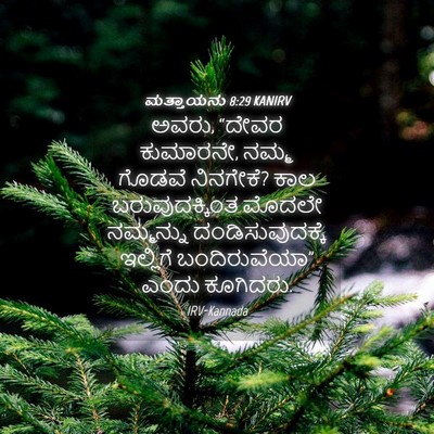 Picture 04 - ಮತ್ತಾಯನು 8:29 KANIRV - ಅವರು, “ದೇವರ - Bible Verse Picture
