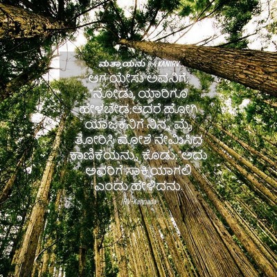 Picture 04 - ಮತ್ತಾಯನು 8:4 KANIRV - ಆಗ ಯೇಸು ಅವನಿಗೆ; - Bible Verse Picture