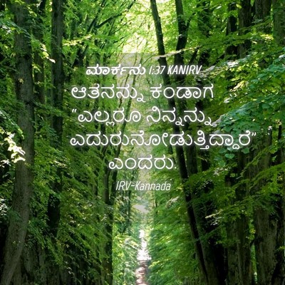 Picture 04 - ಮಾರ್ಕನು 1:37 KANIRV - ಆತನನ್ನು ಕಂಡಾಗ - Bible Verse Picture