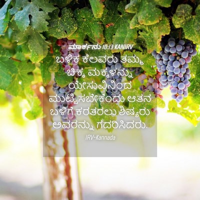 Picture 04 - ಮಾರ್ಕನು 10:13 KANIRV - ಬಳಿಕ ಕೆಲವರು ತಮ್ಮ - Bible Verse Picture