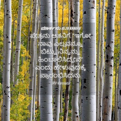 Picture 04 - ಮಾರ್ಕನು 10:28 KANIRV - ಪೇತ್ರನು ಆತನಿಗೆ, - Bible Verse Picture