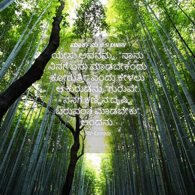 Picture 04 - ಮಾರ್ಕನು 10:51 KANIRV - ಯೇಸು ಅವನನ್ನು, - Bible Verse Picture