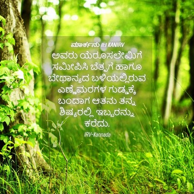 Picture 04 - ಮಾರ್ಕನು 11:1 KANIRV - ಅವರು ಯೆರೂಸಲೇಮಿಗೆ - Bible Verse Picture