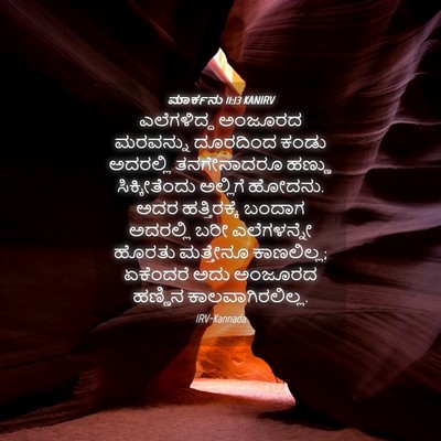 Picture 04 - ಮಾರ್ಕನು 11:13 KANIRV - ಎಲೆಗಳಿದ್ದ ಅಂಜೂರದ - Bible Verse Picture