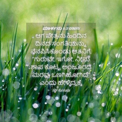 Picture 04 - ಮಾರ್ಕನು 11:21 KANIRV - ಆಗ ಪೇತ್ರನು ಹಿಂದಿನ - Bible Verse Picture