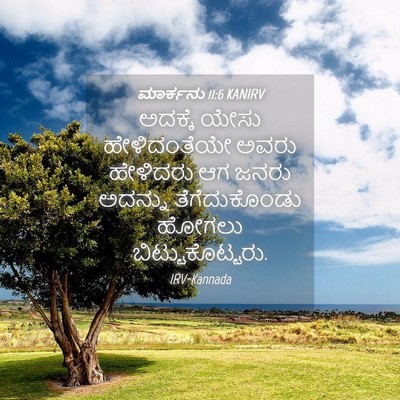 Picture 04 - ಮಾರ್ಕನು 11:6 KANIRV - ಅದಕ್ಕೆ ಯೇಸು - Bible Verse Picture