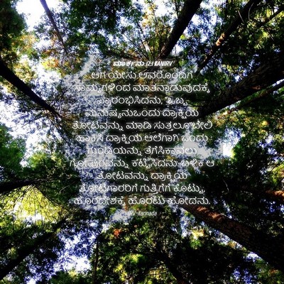 Picture 04 - ಮಾರ್ಕನು 12:1 KANIRV - ಆಗ ಯೇಸು ಅವರೊಂದಿಗೆ - Bible Verse Picture