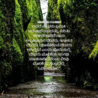 Picture 04 - ಮಾರ್ಕನು 12:26 KANIRV - ಆದರೆ ಸತ್ತವರು - Bible Verse Picture