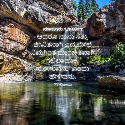Picture 04 - ಮಾರ್ಕನು 14:28 KANIRV - ಆದರೂ ನಾನು ಸತ್ತು - Bible Verse Picture