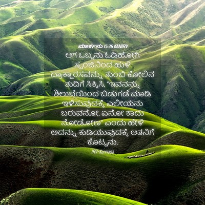 Picture 04 - ಮಾರ್ಕನು 15:36 KANIRV - ಆಗ ಒಬ್ಬನು ಓಡಿಹೋಗಿ - Bible Verse Picture