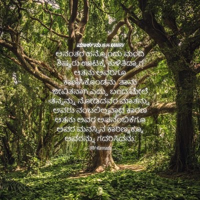 Picture 04 - ಮಾರ್ಕನು 16:14 KANIRV - ಅನಂತರ ಹನ್ನೊಂದು - Bible Verse Picture