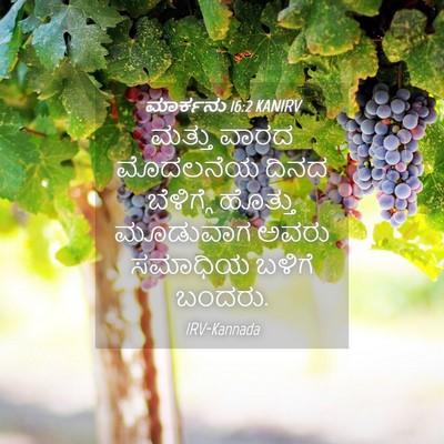 Picture 04 - ಮಾರ್ಕನು 16:2 KANIRV - ಮತ್ತು ವಾರದ - Bible Verse Picture
