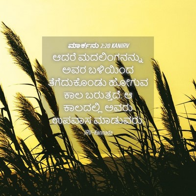 Picture 04 - ಮಾರ್ಕನು 2:20 KANIRV - ಆದರೆ ಮದಲಿಂಗನನ್ನು - Bible Verse Picture