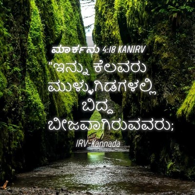 Picture 04 - ಮಾರ್ಕನು 4:18 KANIRV - “ಇನ್ನು ಕೆಲವರು - Bible Verse Picture
