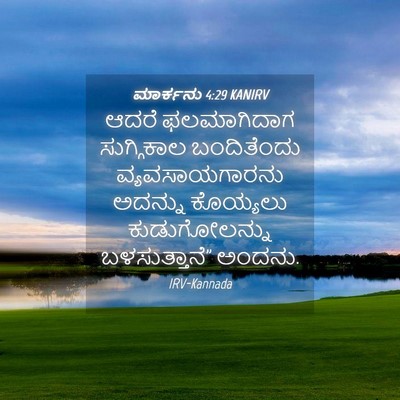 Picture 04 - ಮಾರ್ಕನು 4:29 KANIRV - ಆದರೆ ಫಲಮಾಗಿದಾಗ - Bible Verse Picture