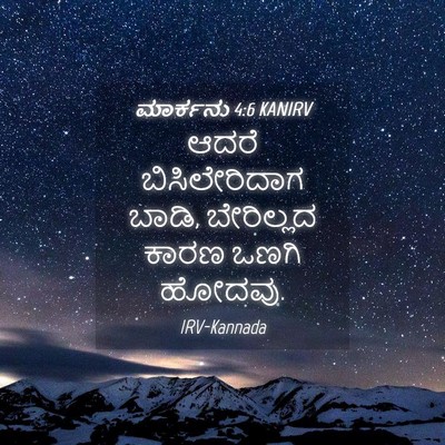 Picture 04 - ಮಾರ್ಕನು 4:6 KANIRV - ಆದರೆ ಬಿಸಿಲೇರಿದಾಗ - Bible Verse Picture