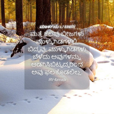 Picture 04 - ಮಾರ್ಕನು 4:7 KANIRV - ಮತ್ತೆ ಕೆಲವು - Bible Verse Picture