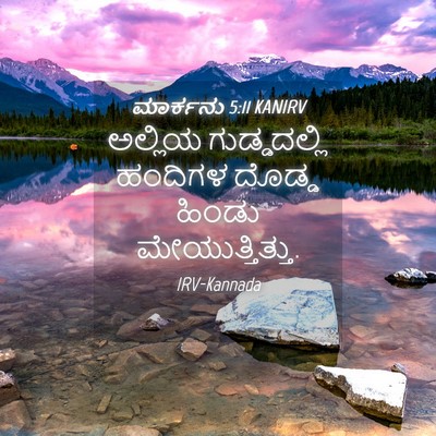 Picture 04 - ಮಾರ್ಕನು 5:11 KANIRV - ಅಲ್ಲಿಯ ಗುಡ್ಡದಲ್ಲಿ - Bible Verse Picture